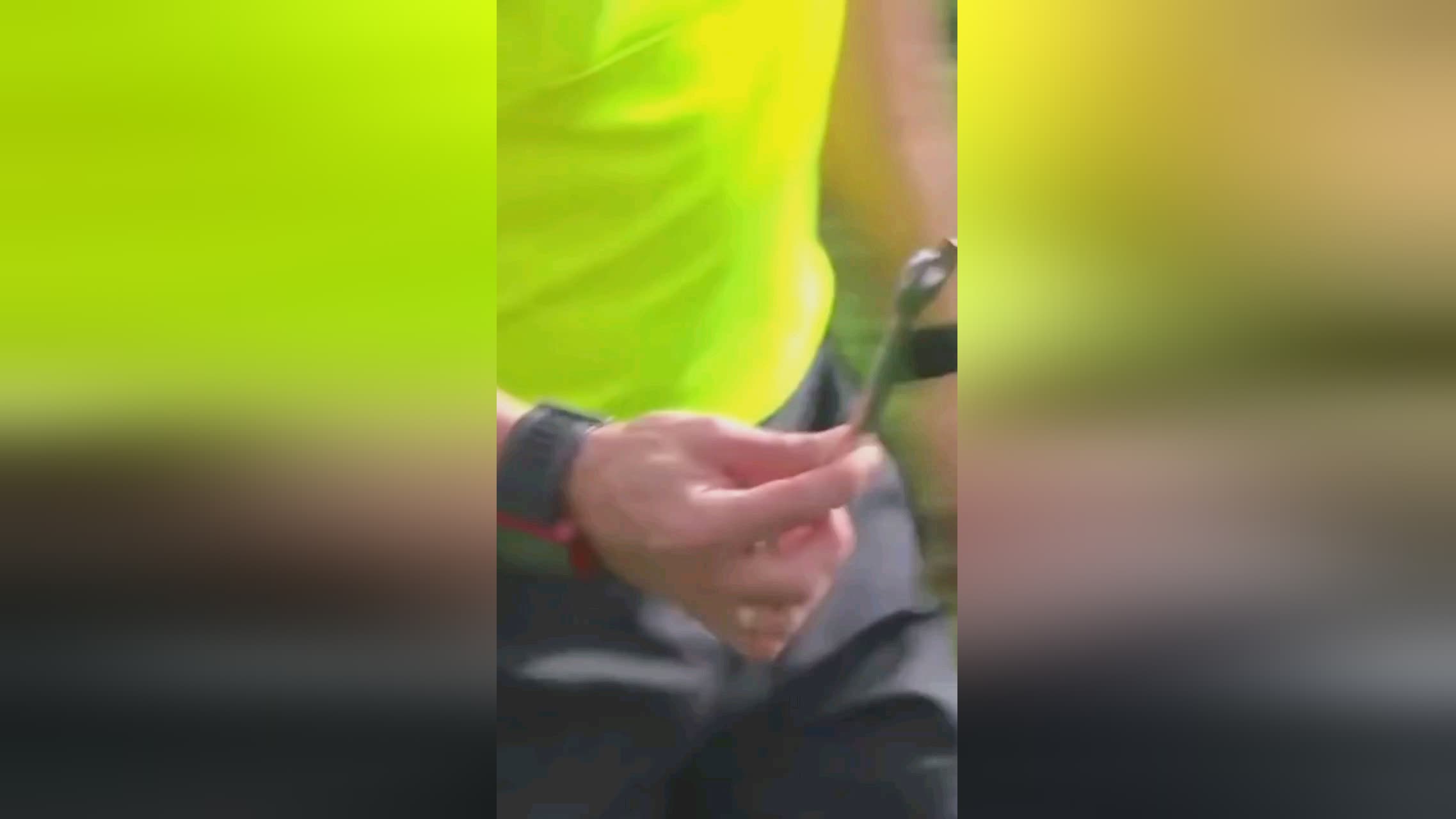 了西